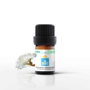 BEWIT Eukalyptus Camaldulensis 5 ml